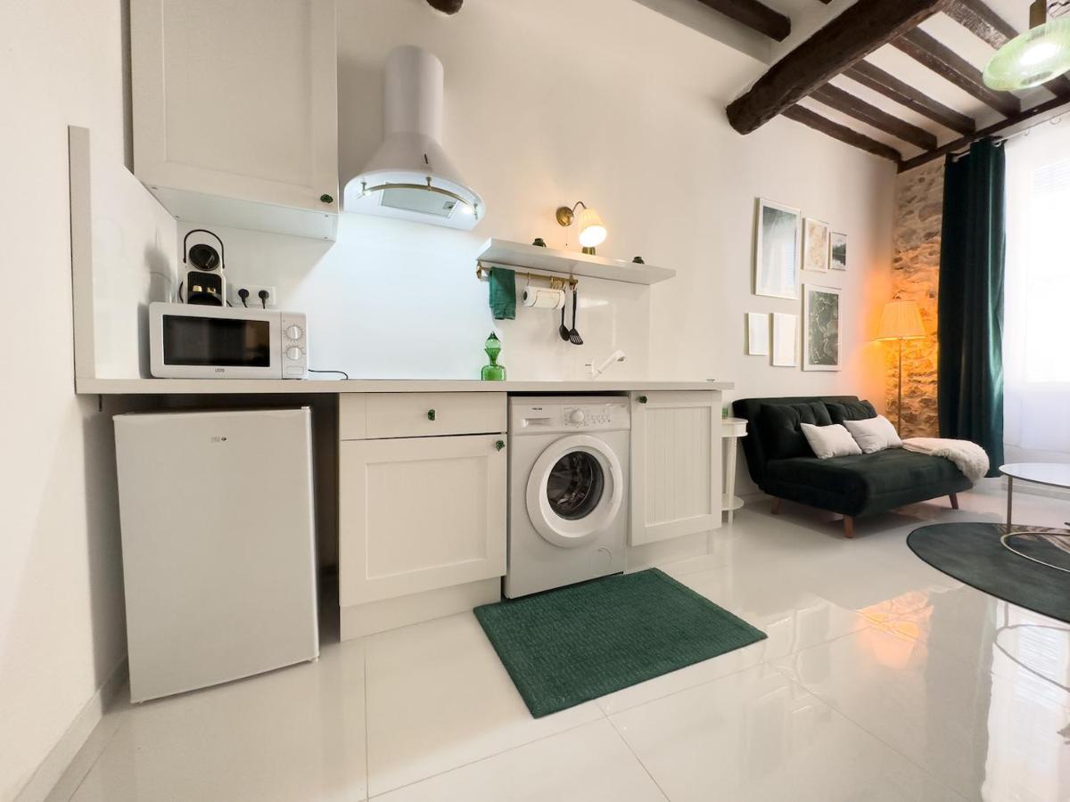 Le Cosy Safranier Vieil Appartement